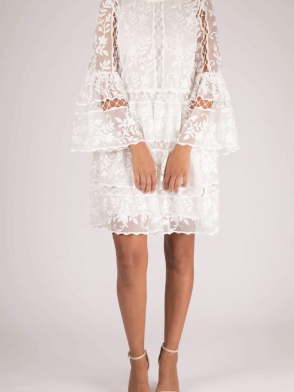 curatedcollection-AA4FF1FA-1809-4437-9D71-98B2B5E28D98