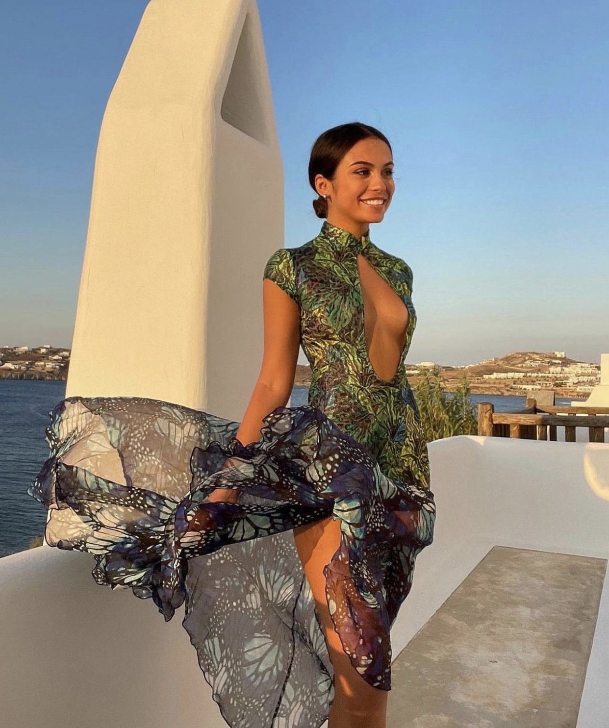 kim shui sheer dress Kim Shui Lace Butterfly Dress – Rent a Dress