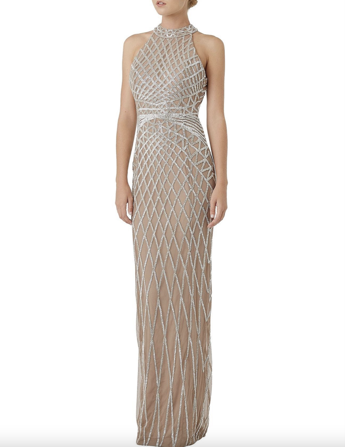 Rachel Gilbert Aryel Gown Photo