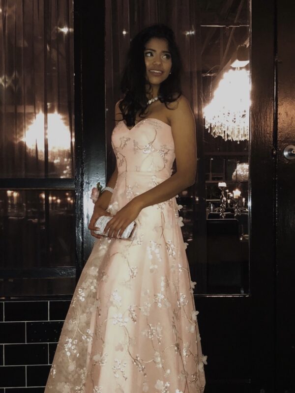 Bariano Elenora Sweetheart Mesh Gown for hire.