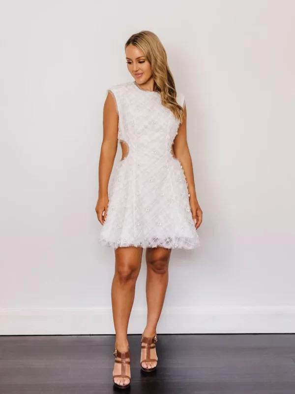 Aje Mirage Organza Cut Out Mini Designer Dress Hire
