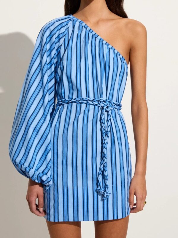 3592-Faithful Calia Mini Dress 4