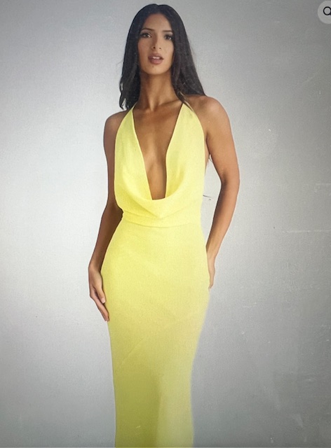 6119-Lopez Gown 1
