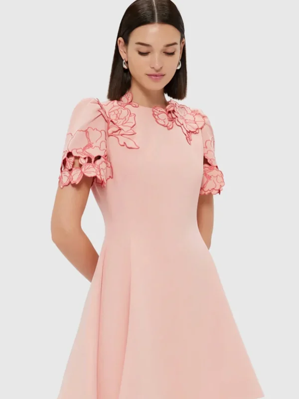 6199-0030 LLRE250061 Elyse-Embroidered-Short-Sleeve-Mini-Dress Light-Rose 5 jpg 880x cb18a800-52ee-4ea9-ad80-91d57dcbaae4