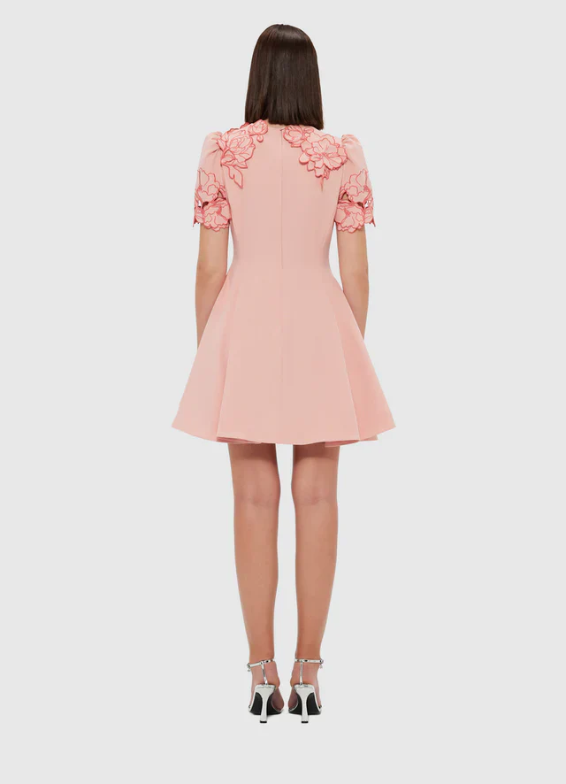 6199-LLRE250061 Elyse-Embroidered-Short-Sleeve-Mini-Dress Light-Rose 3