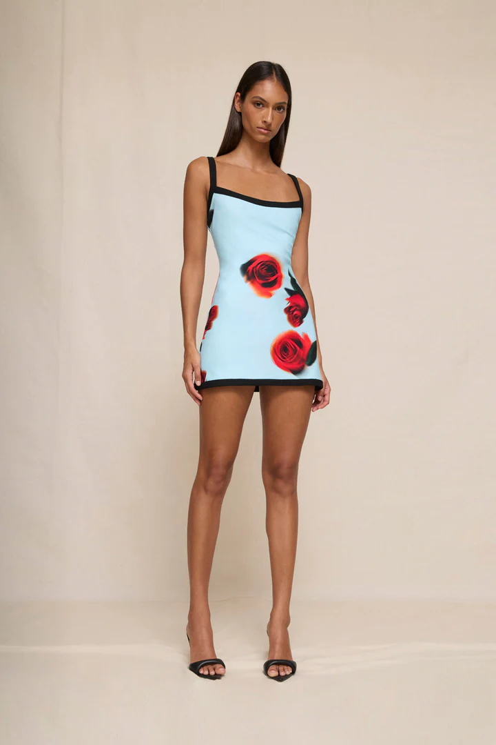 10709-SKYROSEMINI 10 720x