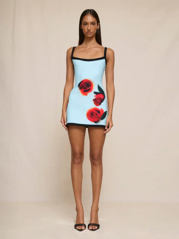 10709-SKYROSEMINI 7 720x
