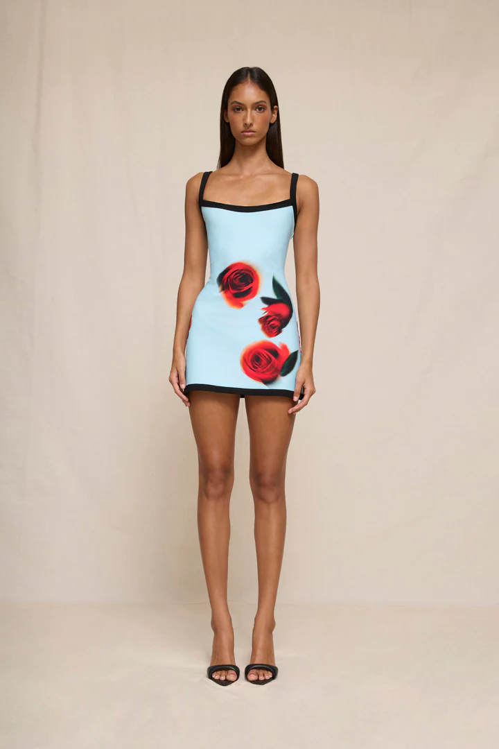 10709-SKYROSEMINI 7 720x