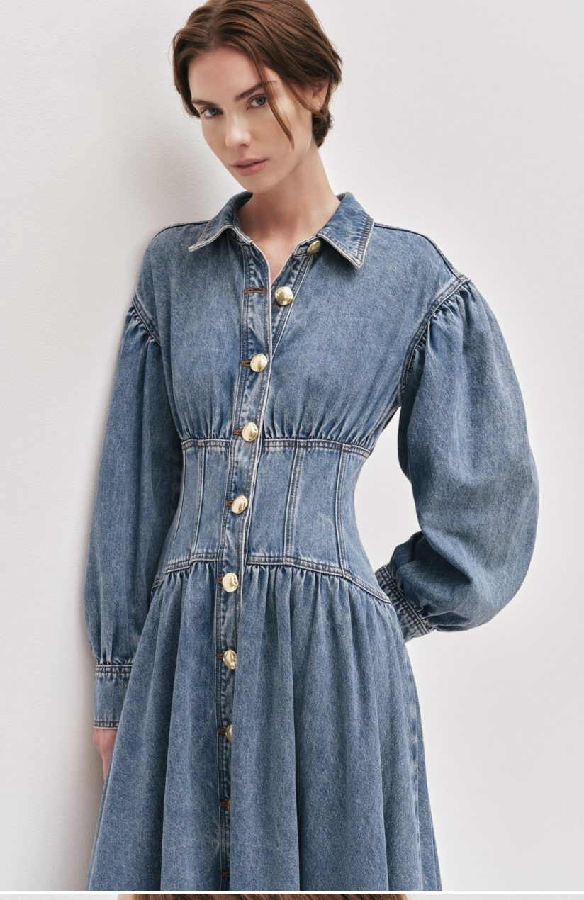 Aje Lorraine Denim Dress Photo