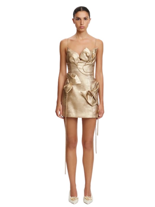 12987-acler-hillsome-mini-dress-01